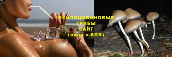 mdpv Зеленодольск