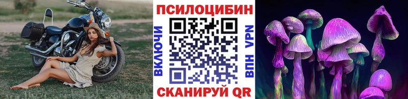 как найти закладки  Прокопьевск  Галлюциногенные грибы GOLDEN TEACHER 