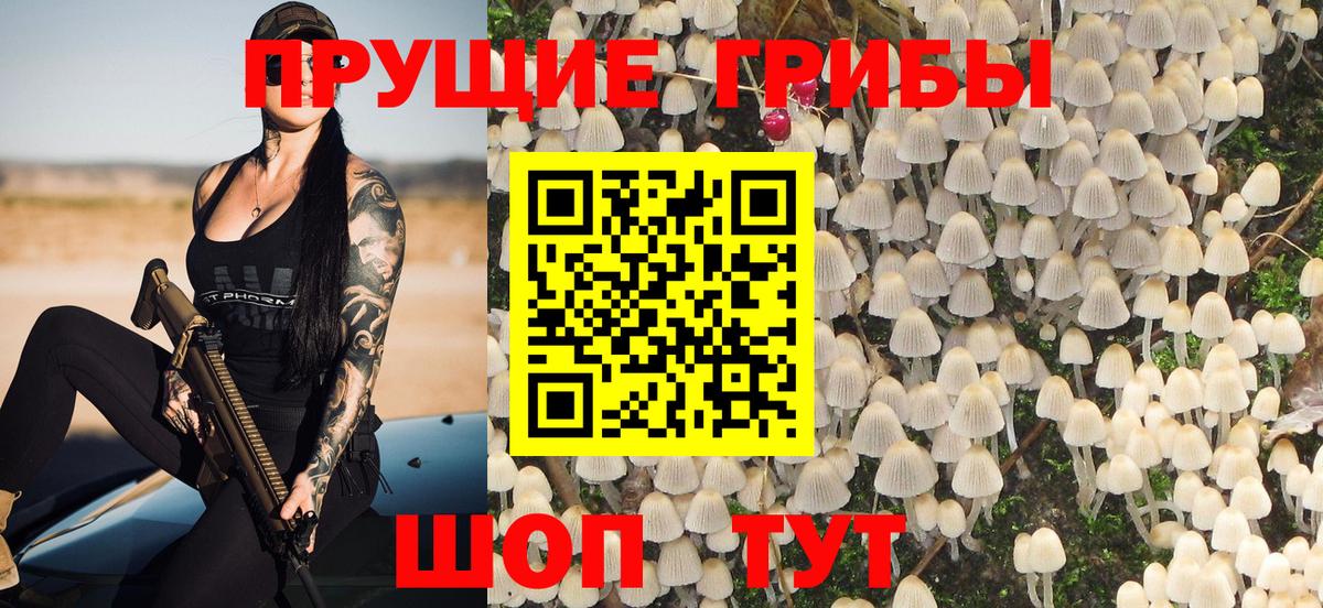 Псилоцибиновые грибы Psilocybe  Псилоцибиновые грибы Magic Shrooms  Вход с VPN  Прокопьевск 