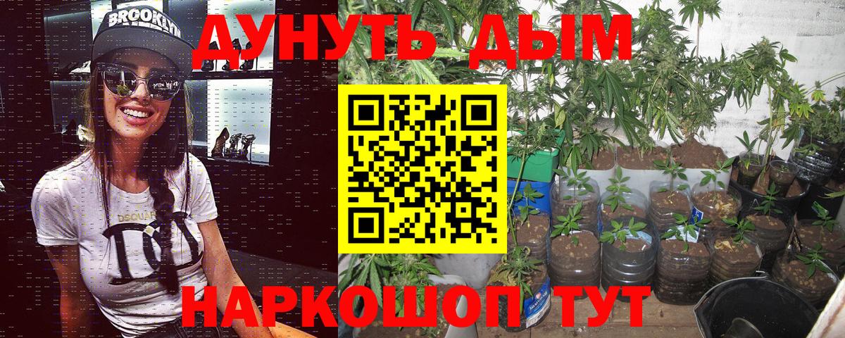Бошки Шишки планчик  Шишки марихуана LSD WEED  Канабис LSD WEED  Вход с VPN  Прокопьевск 